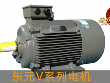東元V系列電機(jī)