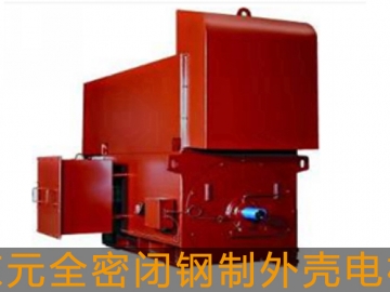 東元高壓電機全密閉鋼制外殼電機