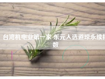臺灣機電業(yè)第一家 東元入選道瓊永續(xù)指數(shù)