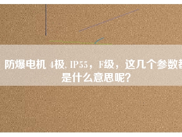 防爆電機(jī) 4極, IP55，F(xiàn)級(jí)，這幾個(gè)參數(shù)都是什么意思呢？