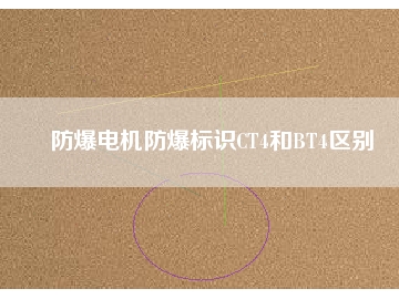 防爆電機防爆標(biāo)識CT4和BT4區(qū)別