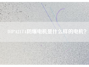 DIPA21T4防爆電機是什么樣的電機？