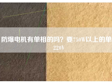 防爆電機有單相的嗎？要750W以上的單相220V