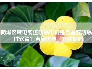 防爆區(qū)域電纜進防爆電機是否需要防爆撓性軟管？直接進線，有依據(jù)嗎