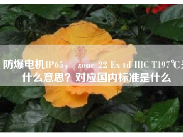 防爆電機IP65， zone 22 Ex td IIIC T197℃是什么意思？對應(yīng)國內(nèi)標準是什么