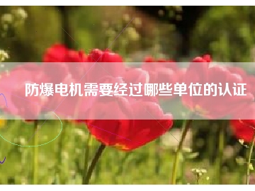 防爆電機(jī)需要經(jīng)過哪些單位的認(rèn)證
