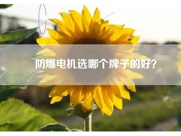 防爆電機選哪個牌子的好？