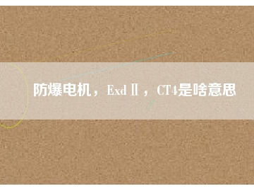 防爆電機，ExdⅡ，CT4是啥意思
