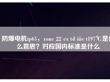 防爆電機ip65，zone 22 ex td iiic t197℃是什么意思？對應(yīng)國內(nèi)標準是什么