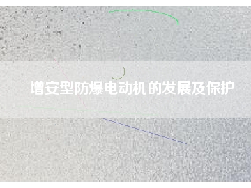 增安型防爆電動機(jī)的發(fā)展及保護(hù)