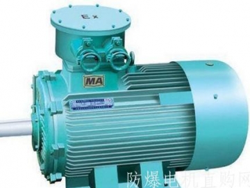 正壓型防爆電機(jī)的防爆原理與型式