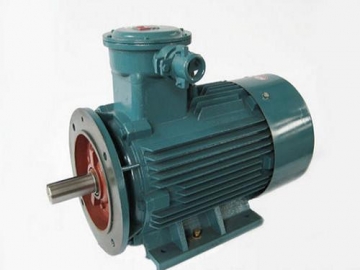 防爆電機(jī)驗(yàn)收時(shí)除了銘牌外，還要注意哪些？