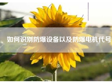 如何識別防爆設(shè)備以及防爆電機(jī)代號