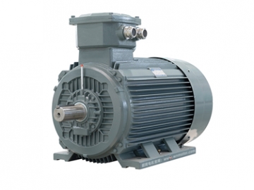 YBX3 系列高效率隔爆型(Ex dII CT4)三相電動(dòng)機(jī)