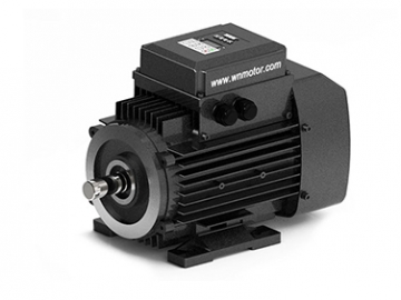 YZNP2系列智能控制三相異步電動機(jī)