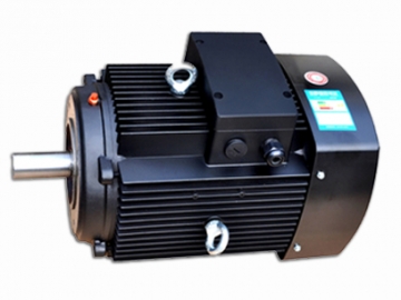 多級泵專用電機(jī)