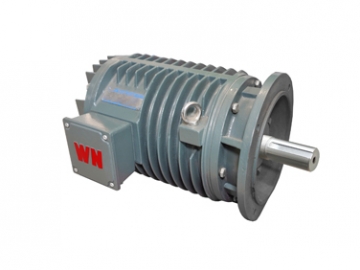 YG系列輥道用調(diào)速三相異步電動機