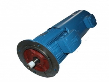 WEG萬高-變頻電機(jī)