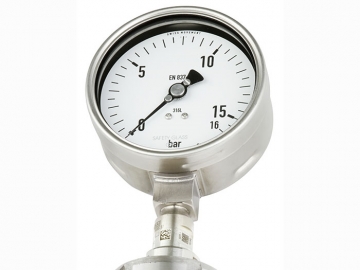 DSS19F符合EN837-1標(biāo)準(zhǔn)的壓力表，帶隔膜密封