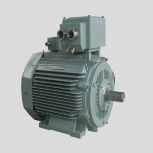 低壓超高效IE5三相異步電動(dòng)機(jī)