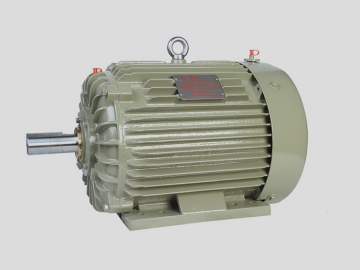 NEMA系列高滑差三相異步電動機(jī)