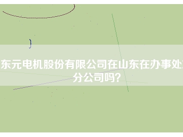 東元電機股份有限公司在山東在辦事處或分公司嗎？