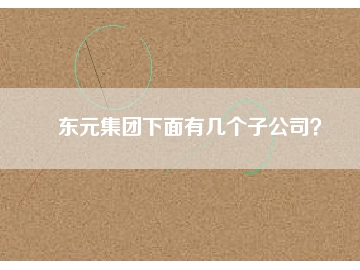 東元集團(tuán)下面有幾個(gè)子公司？