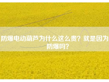 防爆電動(dòng)葫蘆為什么這么貴？就是因?yàn)槟芊辣瑔幔?></div>
                            <div   id=