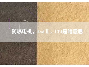防爆電機(jī)，ExdⅡ，CT4是啥意思