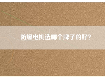 防爆電機(jī)選哪個(gè)牌子的好？