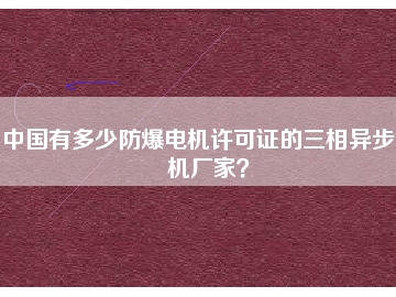 中國(guó)有多少防爆電機(jī)許可證的三相異步電機(jī)廠家？