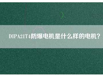 DIPA21T4防爆電機是什么樣的電機？