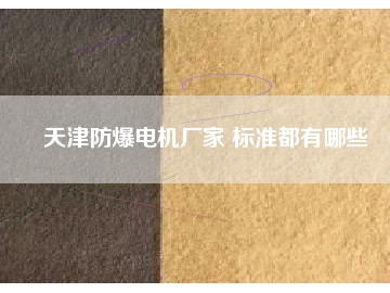天津防爆電機廠家 標(biāo)準(zhǔn)都有哪些