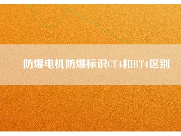 防爆電機防爆標(biāo)識CT4和BT4區(qū)別