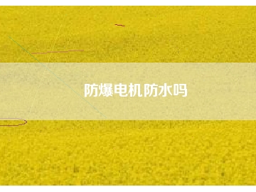 防爆電機(jī)防水嗎