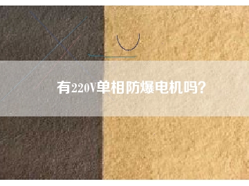 有220V單相防爆電機(jī)嗎？