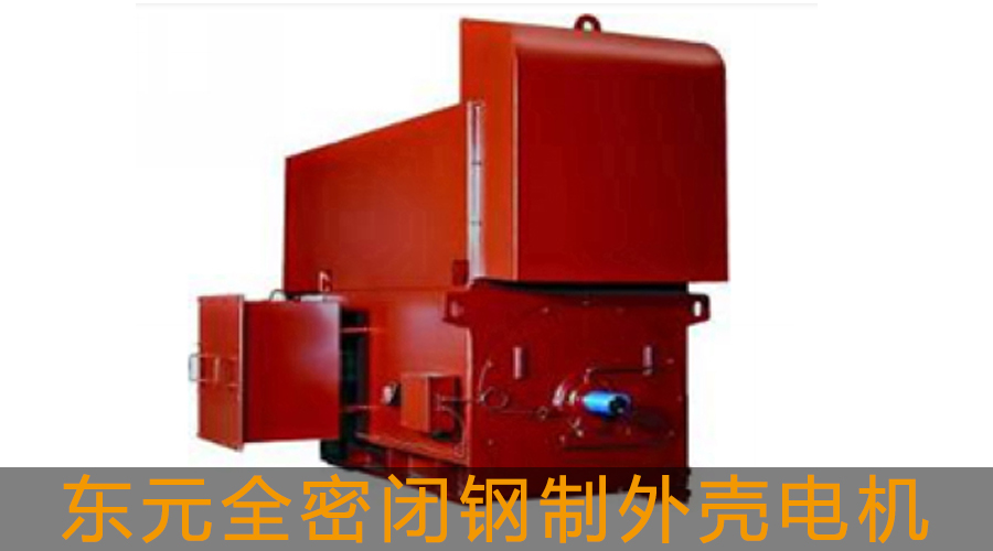 東元高壓電機全密閉鋼制外殼電機