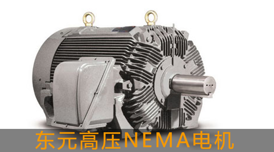 東元高壓電機NEMA電機