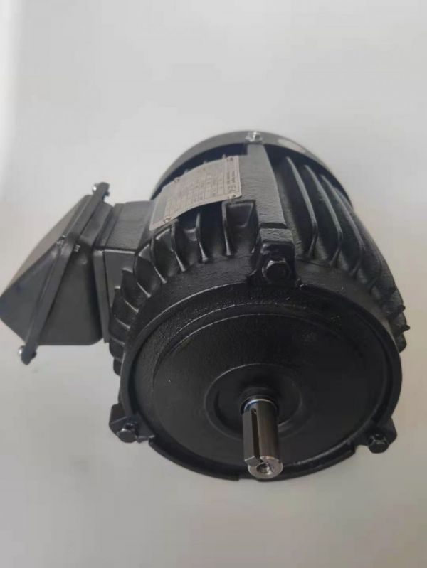 永磁電機(jī) DVEX  375KW  1500RPM  F#355M IE4效率電機(jī)