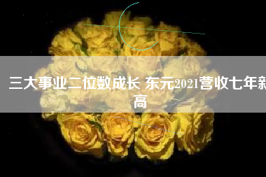 三大事業(yè)二位數(shù)成長 東元2021營收七年新高
