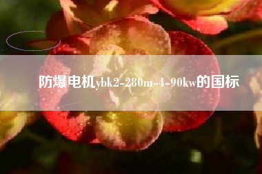 防爆電機(jī)ybk2-280m-4-90kw的國標(biāo)