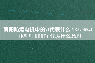 南陽防爆電機(jī)中的V1代表什么 YB3-90S-4 1.1KW V1 DIIBT4 代表什么意思