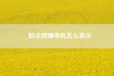 粉塵防爆電機怎么表示