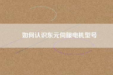 如何認(rèn)識東元伺服電機(jī)型號