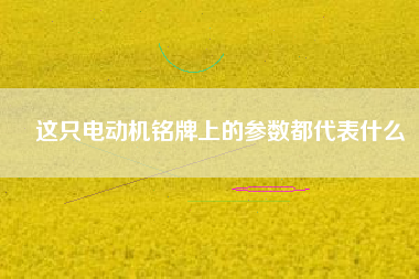 這只電動(dòng)機(jī)銘牌上的參數(shù)都代表什么