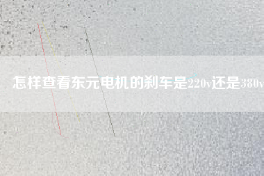 怎樣查看東元電機(jī)的剎車(chē)是220v還是380v