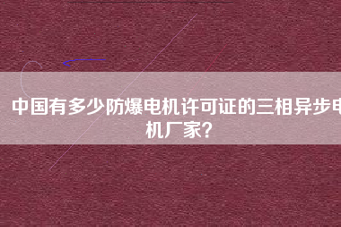 中國有多少防爆電機(jī)許可證的三相異步電機(jī)廠家？