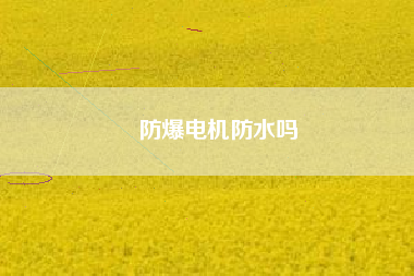 防爆電機(jī)防水嗎