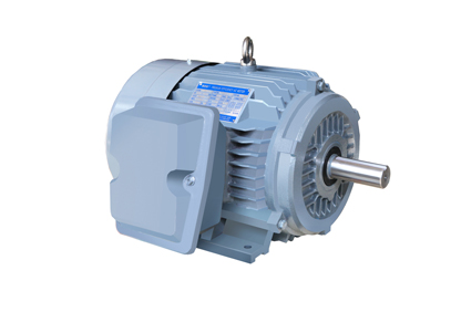 NE系列高效高轉(zhuǎn)矩三相異步電動(dòng)機(jī)